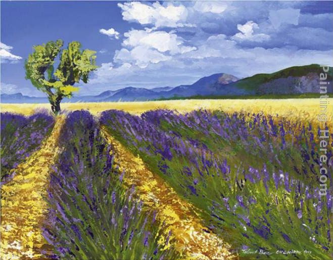 Talantbek Chekirov Lavendelfeld mit Baum